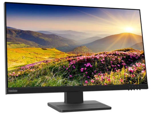Lenovo ThinkVision E24-29 - 23.8"